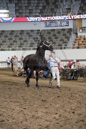 ISF_08142017_SCL_3966