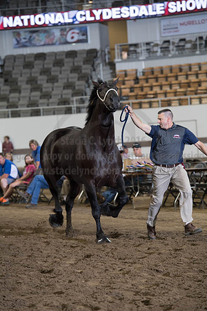 ISF_08142017_SCL_3972