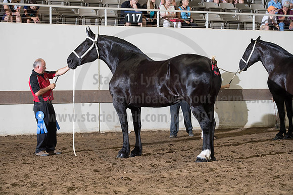 ISF_08142017_SCL_4005