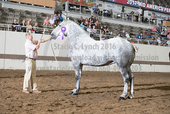 ISF_08142017_SCL_4014
