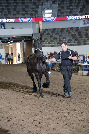 ISF_08142017_SCL_4035