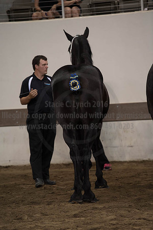 ISF_08142017_SCL_4141