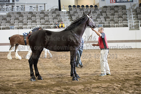 ISF_08142017_SCL_4206
