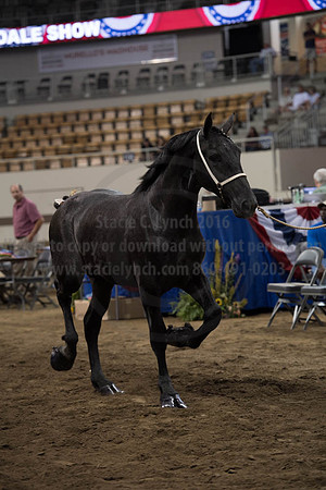 ISF_08142017_SCL_4229