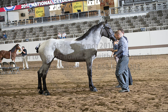 ISF_08142017_SCL_4244