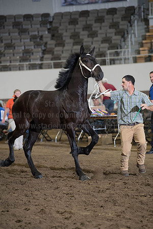 ISF_08142017_SCL_4265