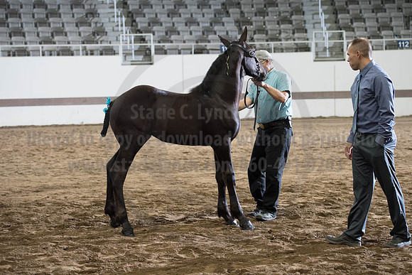 ISF_08142017_SCL_4373