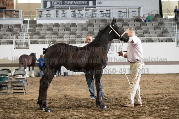 ISF_08142017_SCL_4407