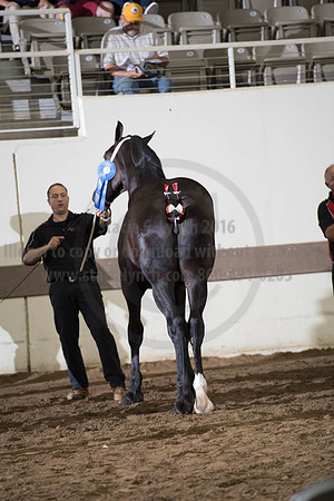 ISF_08142017_SCL_4473