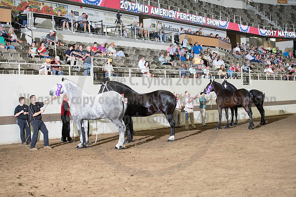 ISF_08142017_SCL_4492