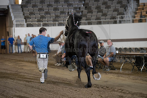ISF_08142017_SCL_3229