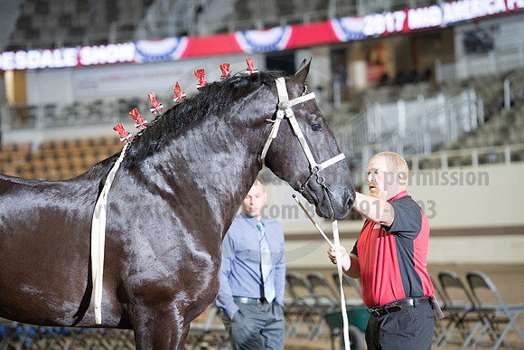 ISF_08142017_SCL_3274