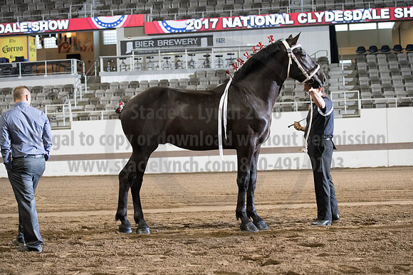 ISF_08142017_SCL_3276