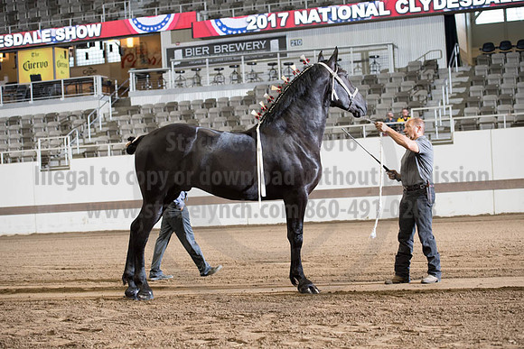 ISF_08142017_SCL_3329