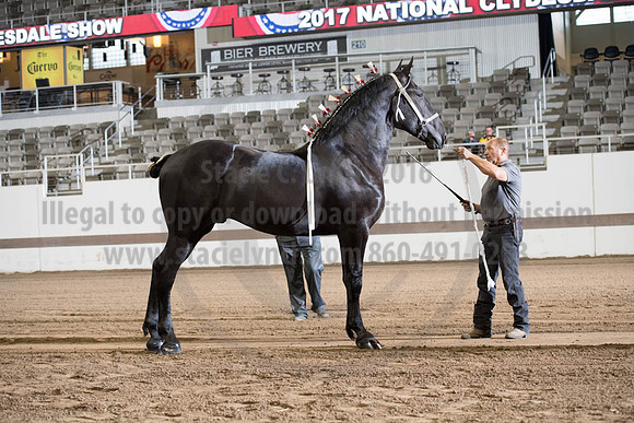 ISF_08142017_SCL_3330