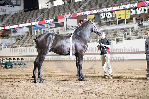 ISF_08142017_SCL_3340