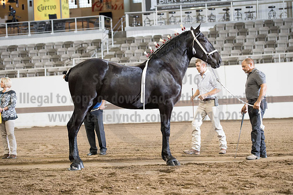 ISF_08142017_SCL_3347