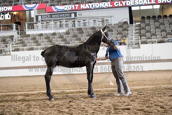ISF_08142017_SCL_3365