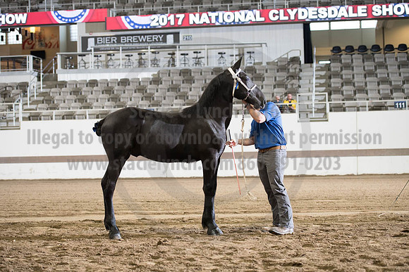 ISF_08142017_SCL_3366