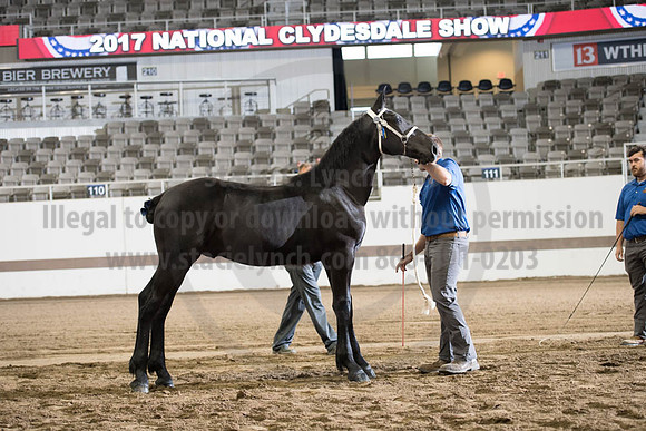 ISF_08142017_SCL_3367