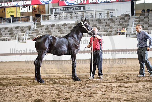 ISF_08142017_SCL_3419
