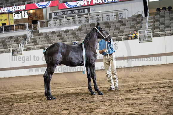 ISF_08142017_SCL_3428