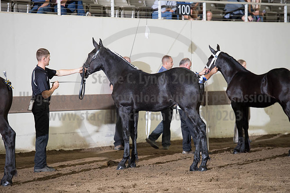 ISF_08142017_SCL_3438