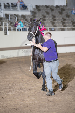 ISF_08142017_SCL_3551