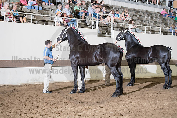 ISF_08142017_SCL_3578