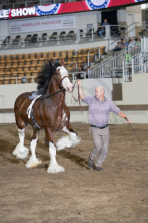 ISF_08142017_SCL_3853