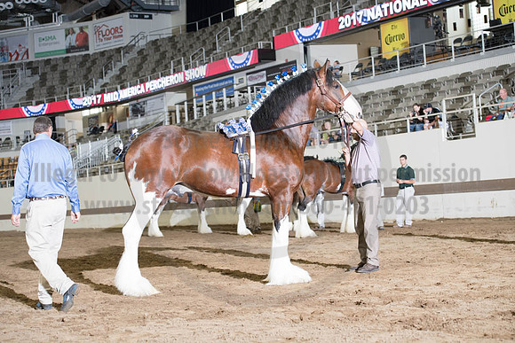 ISF_08142017_SCL_3857