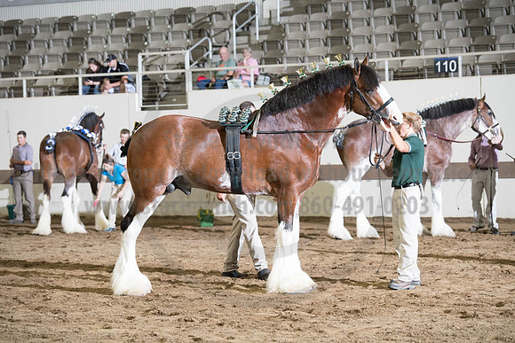 ISF_08142017_SCL_3872