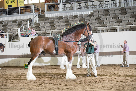 ISF_08142017_SCL_3874