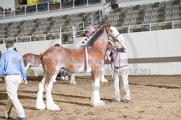 ISF_08142017_SCL_3980