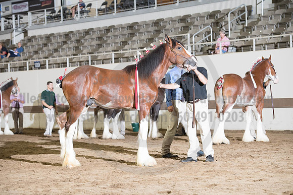 ISF_08142017_SCL_4000