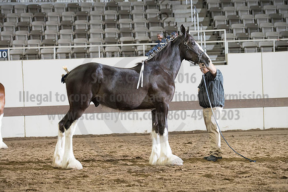 ISF_08142017_SCL_4023