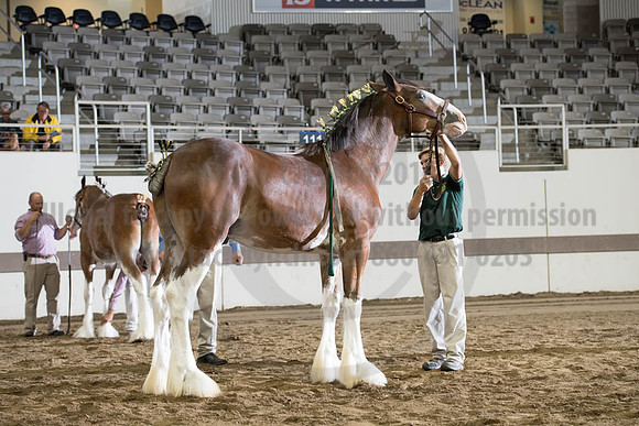 ISF_08142017_SCL_4032