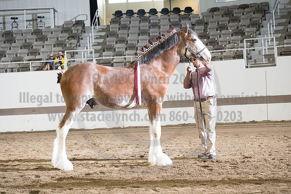 ISF_08142017_SCL_4044
