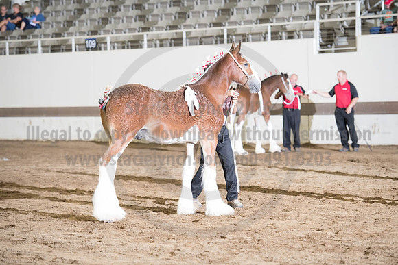 ISF_08142017_SCL_4073