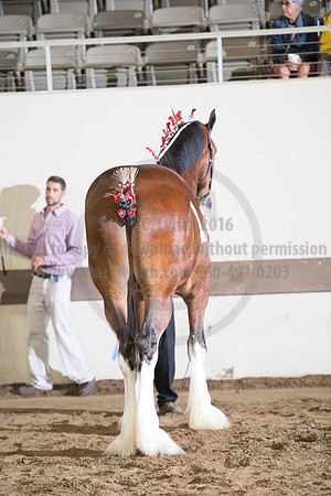 ISF_08142017_SCL_4162