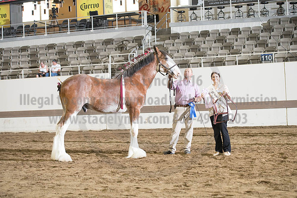 ISF_08142017_SCL_4173