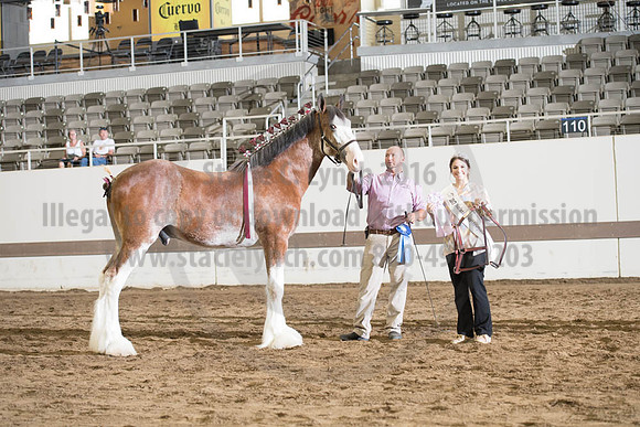 ISF_08142017_SCL_4174