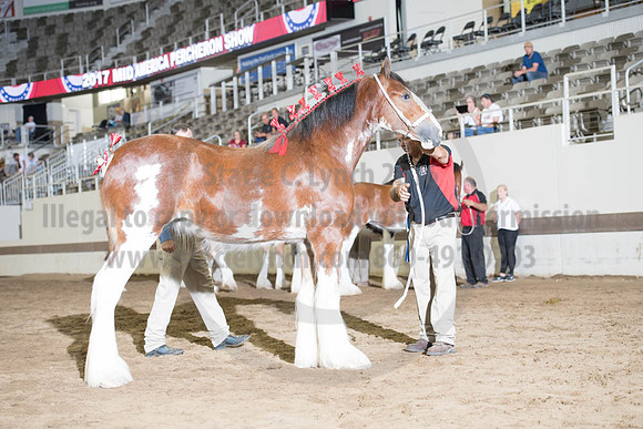 ISF_08142017_SCL_4292