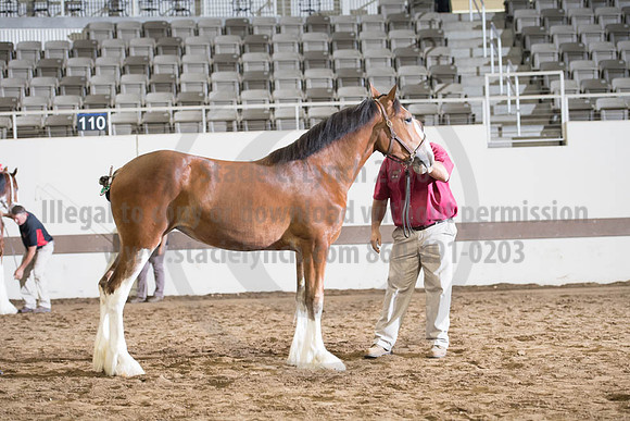 ISF_08142017_SCL_4319
