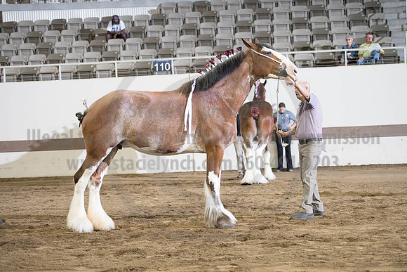 ISF_08152017_SCL_5583