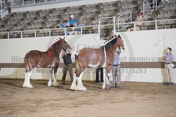 ISF_08152017_SCL_5592