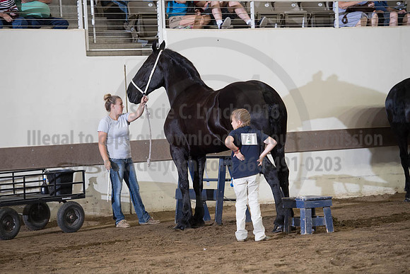 ISF_08152017_SCL_5691