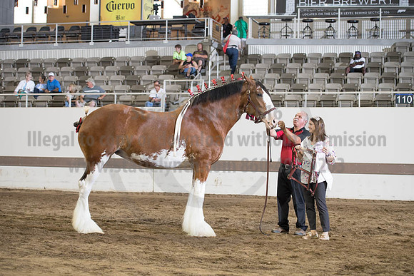ISF_08152017_SCL_5717