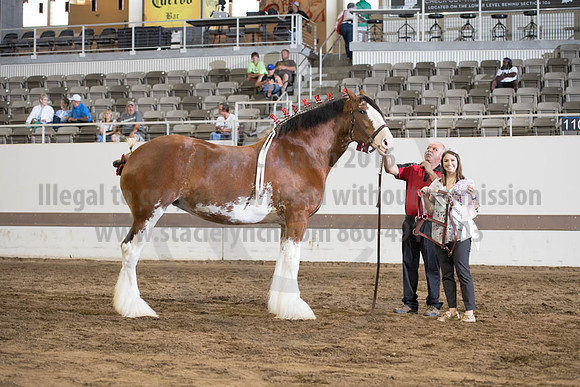 ISF_08152017_SCL_5719