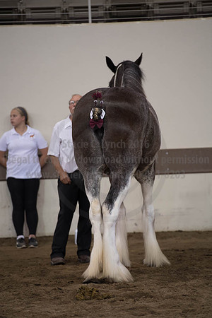 ISF_08152017_SCL_5741
